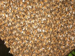 eab1187c-a8f6-4620-8c0f-f4c0bead65bd