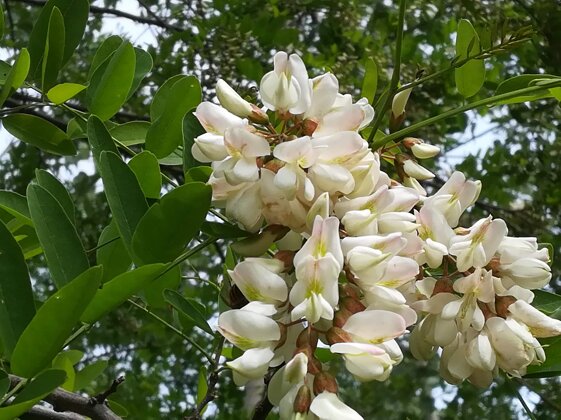 30dc3113-9eaf-4117-ac62-ab3433615eab