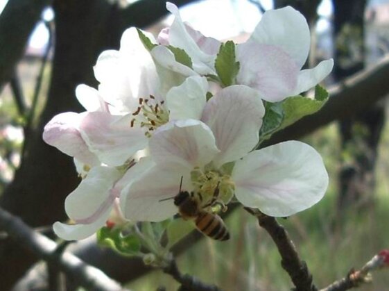 1af93056-a3c8-404b-ab4c-f1df87d6d58d