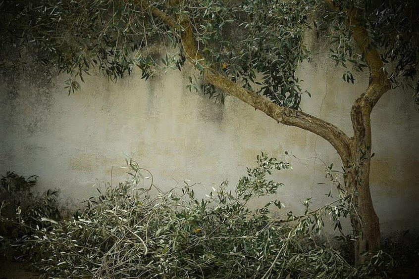 43565016e778039b7b4468ca747d6ae0a2c6fcd1 43565016e778039b7b4468ca747d6ae0a2c6fcd1