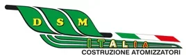 logo dsm