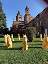 whatsapp image 2025-09-18 at 19.59.00 (1).jpeg