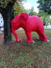 whatsapp image 2025-09-18 at 19.59.00.jpeg whatsapp image 2025-09-18 at 19.59.00.jpeg