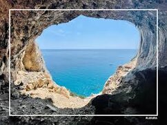 download.jpeg download.jpeg