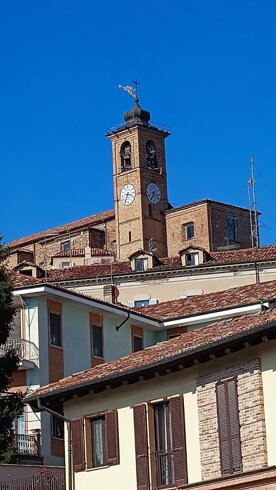 whatsapp image 2026-03-23 at 14.53.34.jpeg whatsapp image 2026-03-23 at 14.53.34.jpeg