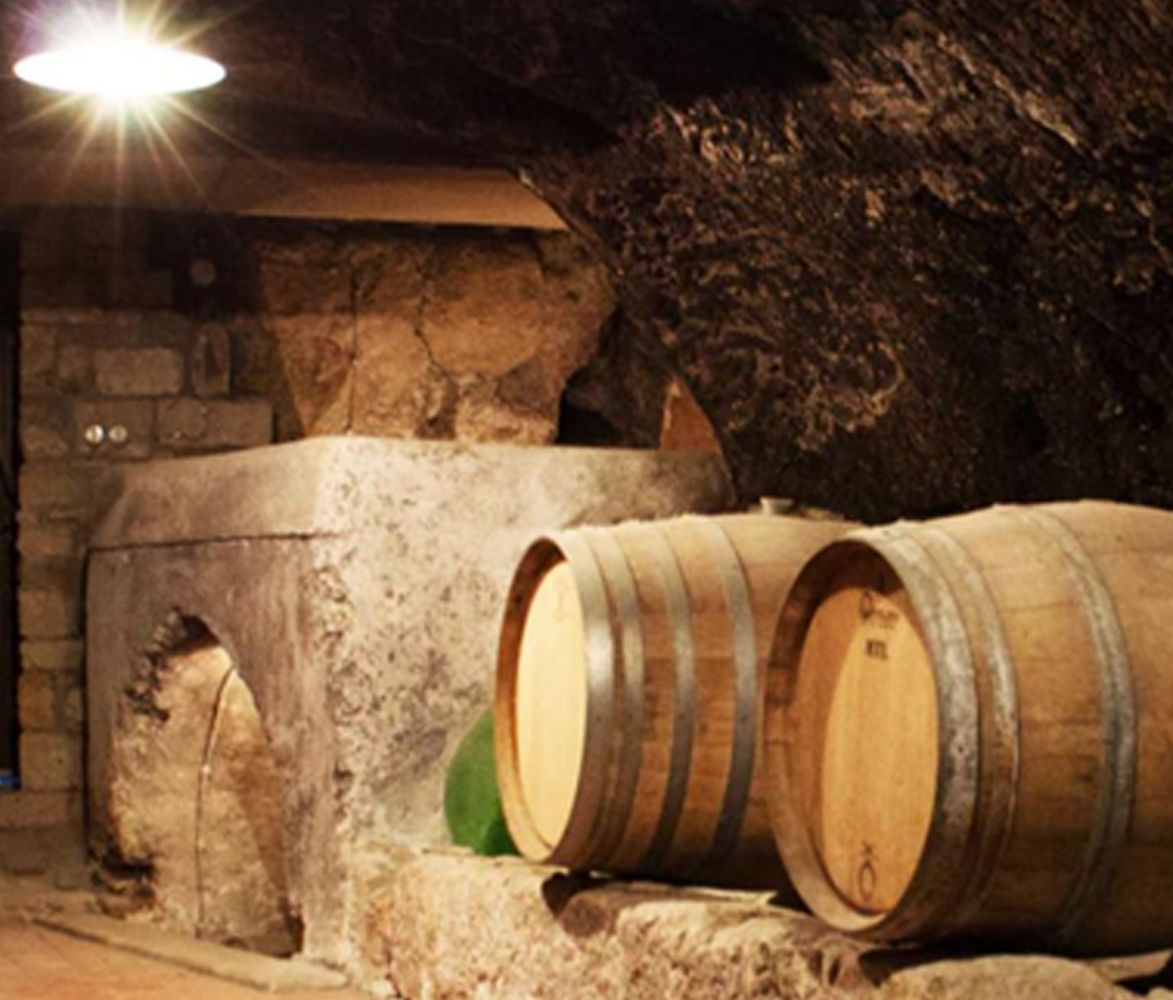 472647079_611335544587555_40481eee96525192687342_n copia