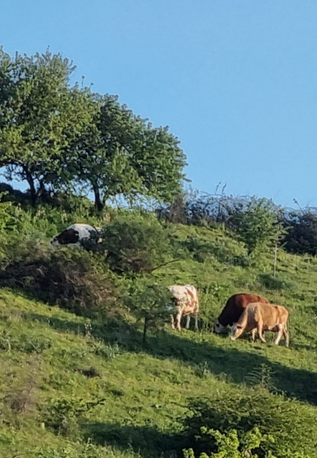 senza titolosddeeeeee-1 copia