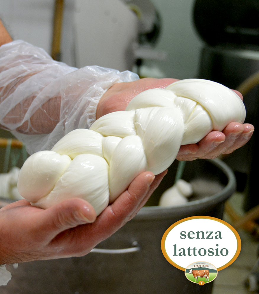 vvvvvvvvvv.perteffcnggg copia