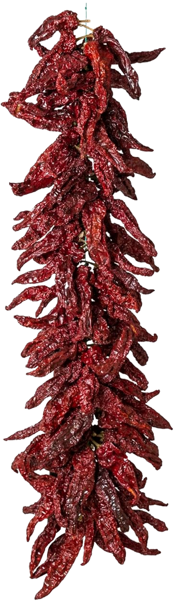 senza titolo-5 5555copia