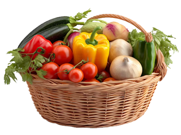 senza titolo-4 coprtaggiia