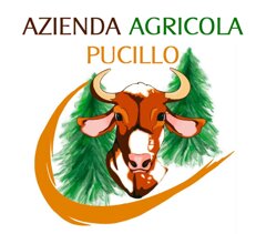 immagine whatsapp 2025-10-15 ore 15.49.05_519770cd.jpeg