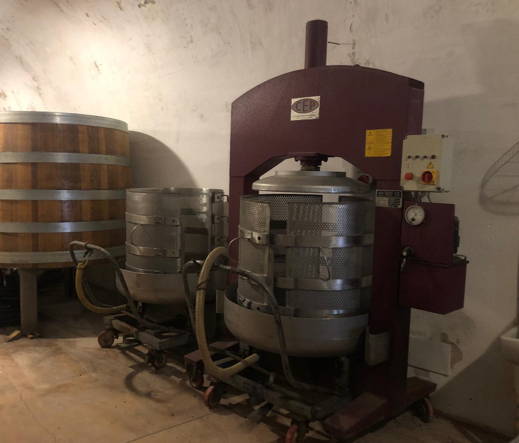 472647079_611335544587eeee555_4048196525192687342_n copia