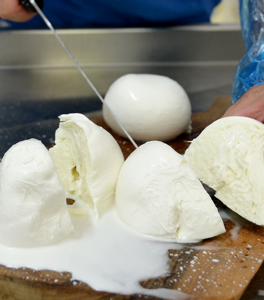 vvvvvvvvvv.perteffcn888g copia