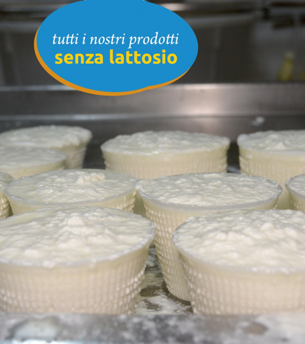 vvvvvvvvvv.perffteffcng copia