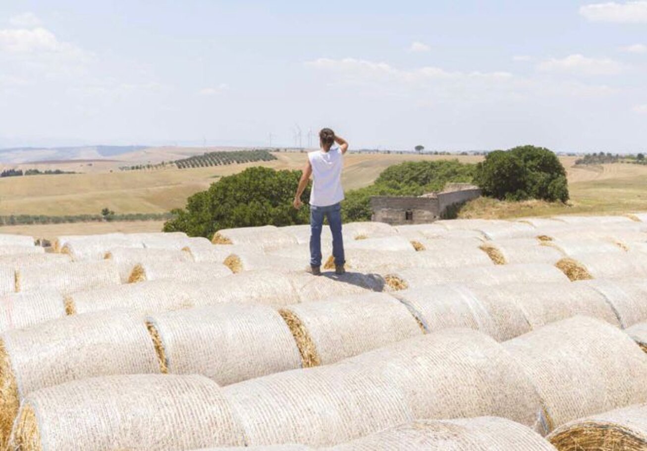 immagine whatsapp 2025-08-16 ore 13.07.17_9ef29804.jpeg immagine whatsapp 2025-08-16 ore 13.07.17_9ef29804.jpeg