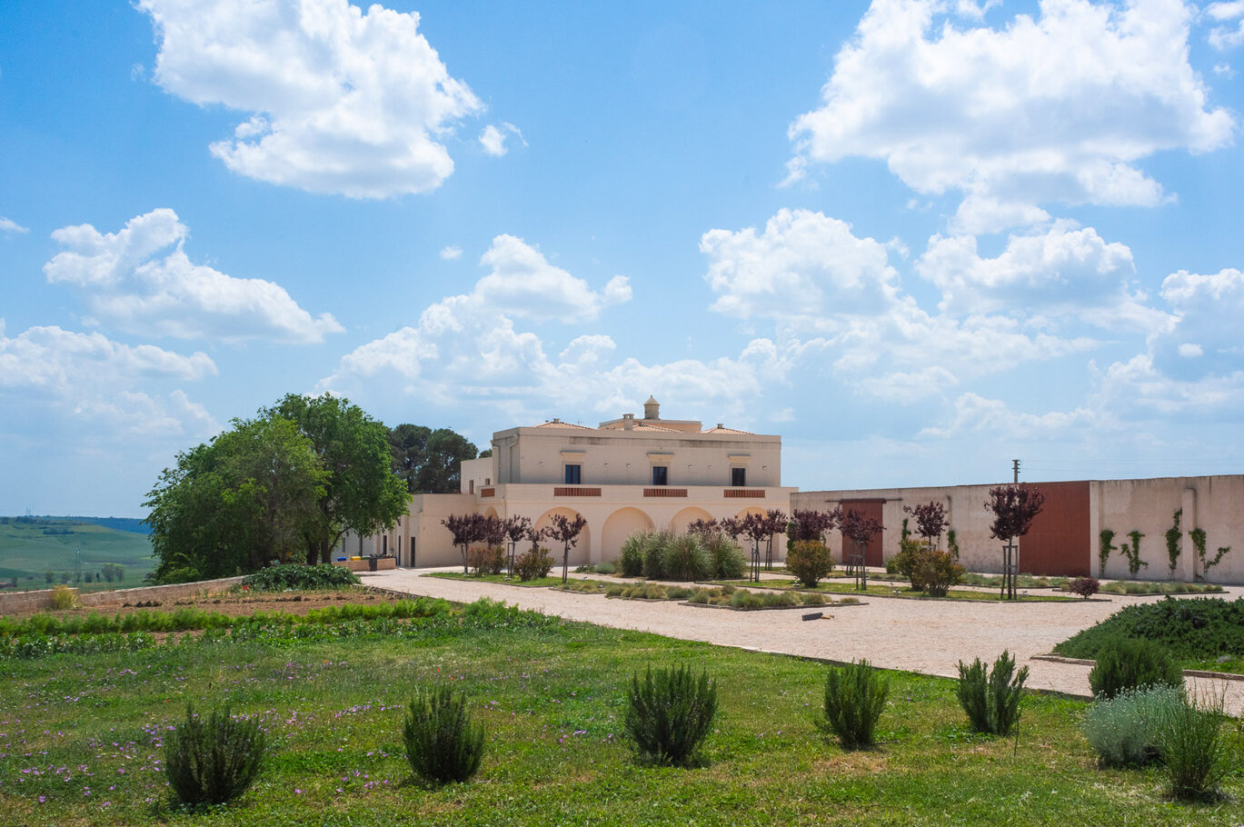 fontana-di-vite-azienda-esterni-13.jpeg fontana-di-vite-azienda-esterni-13.jpeg