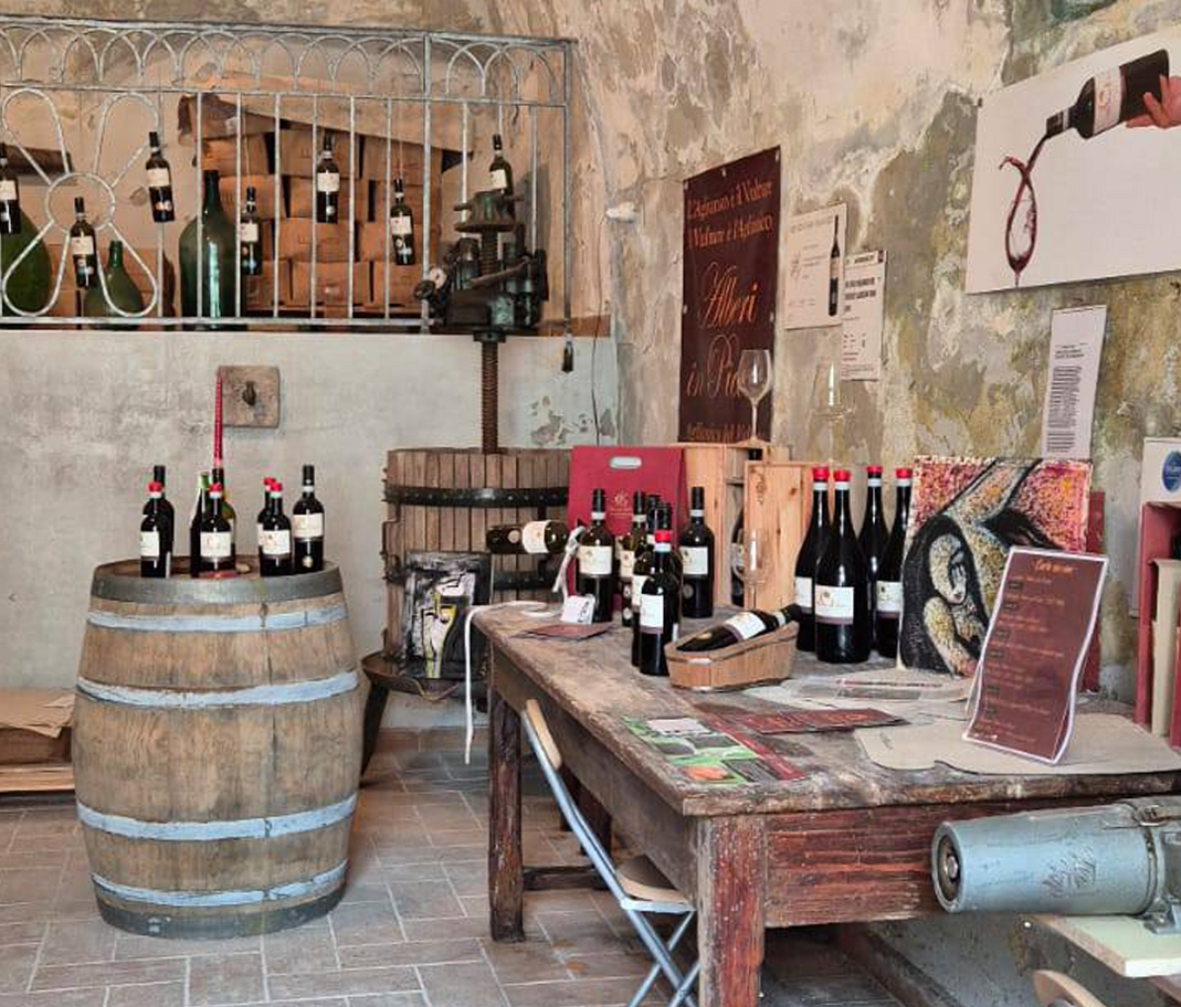 472647079_611335544587555_ddd4048196525192687342_n copia