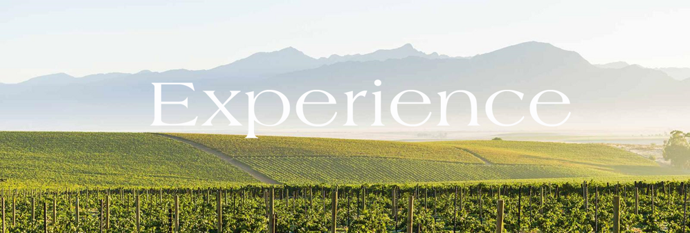 ef075c37b2aaad4094d5d53e747cbfda32adae1c