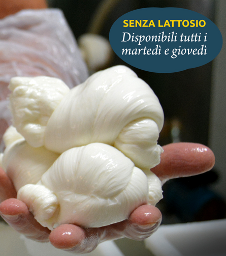 vvvv.perteffcng copia