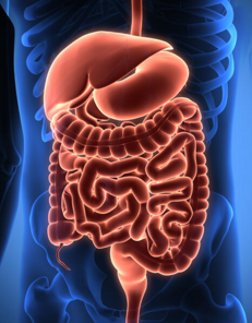 f3761bb166825823d3e2342924c0794fcad9b307