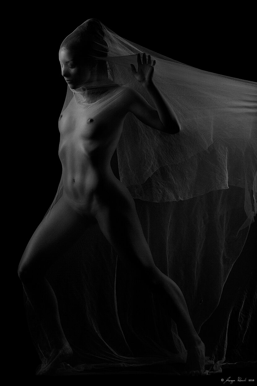 8568efac9c135d24385aa9a7db6d8c44a4e81619