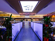 9088b626b61d159ab156f39cff71971508663328