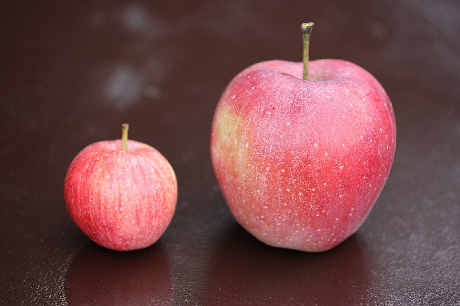 una mela molto piccola e una mela molto grande