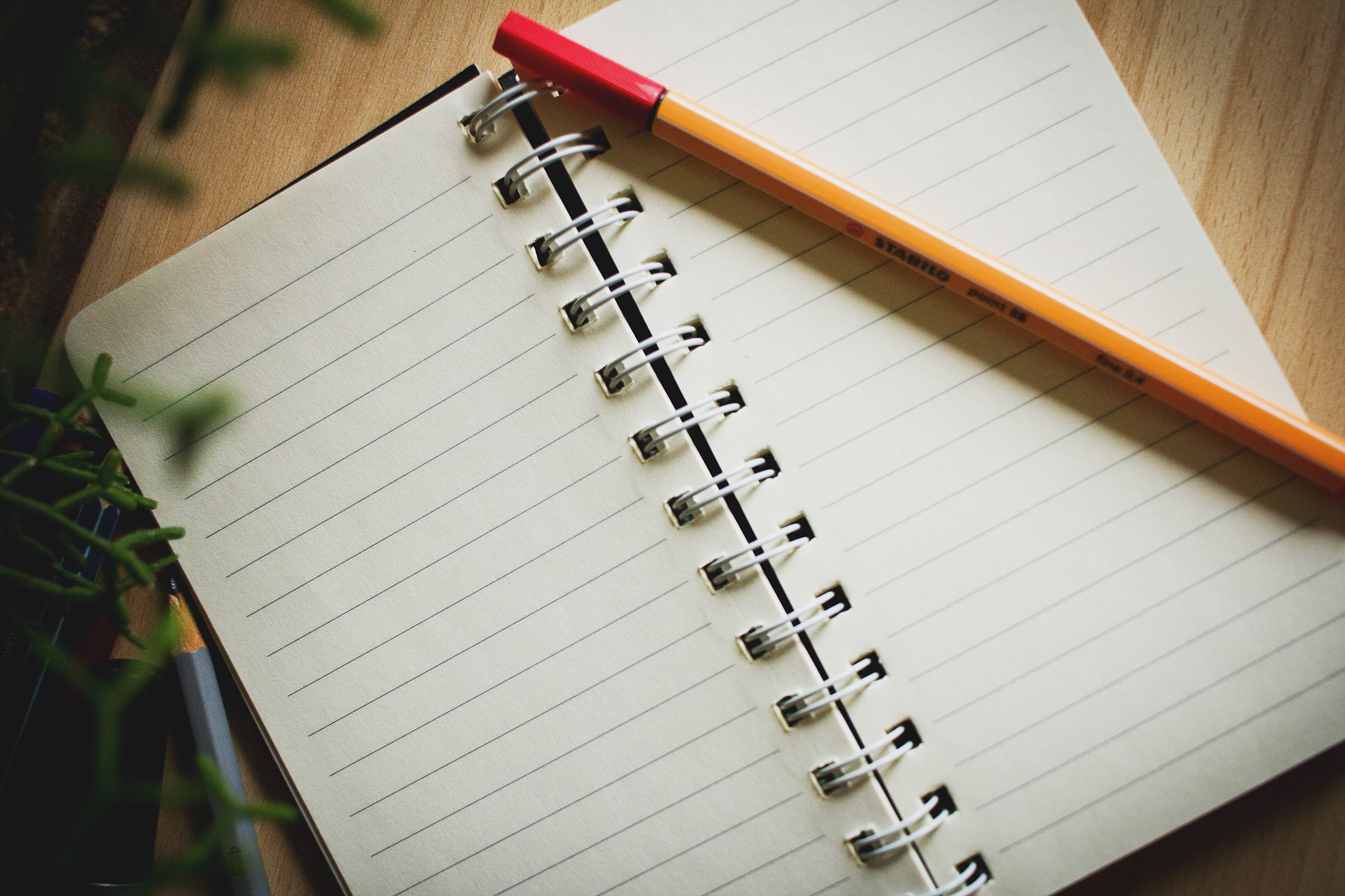 un quaderno a righe e una penna