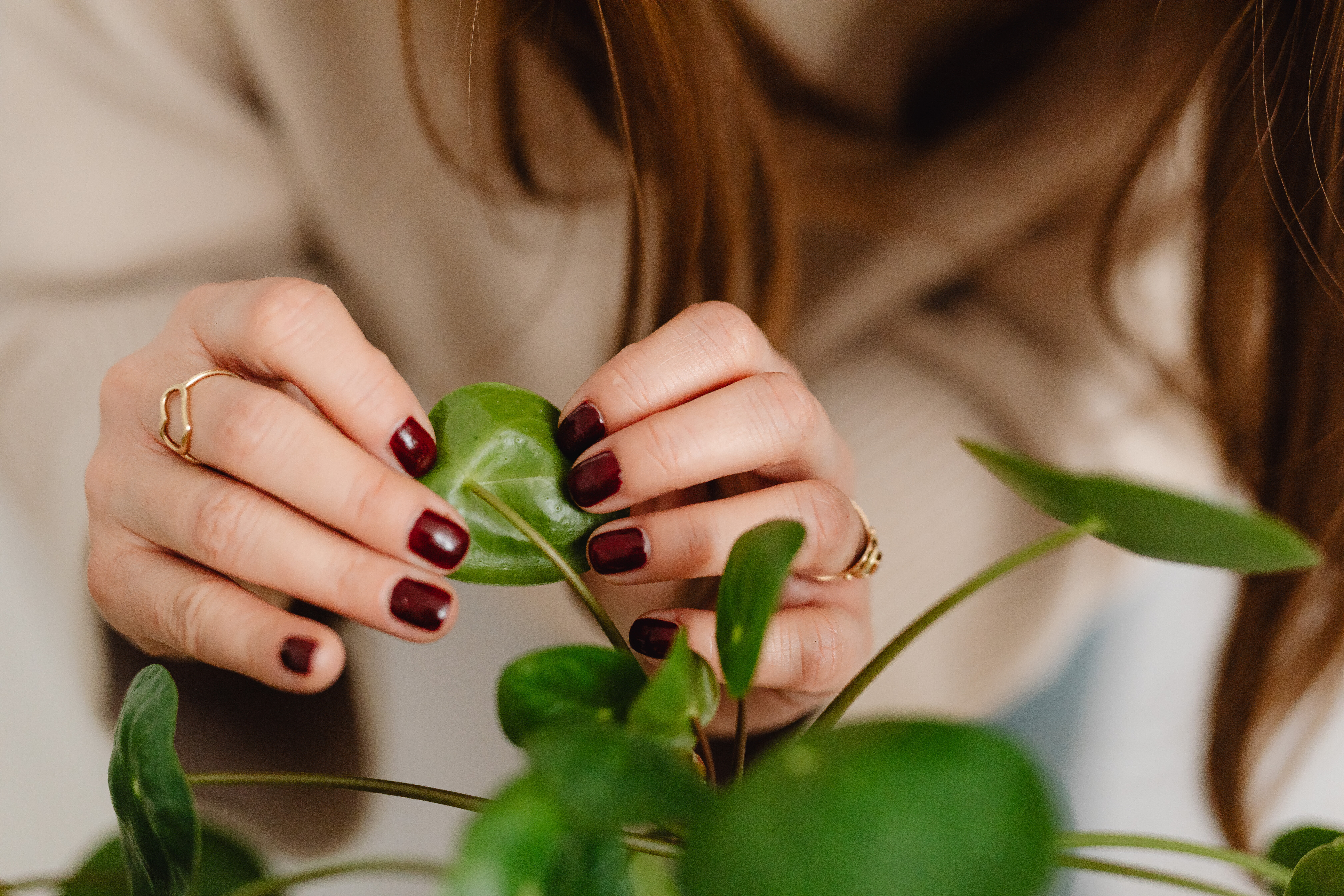 una donna si prende cura delle piante, un gesto che la rilassa