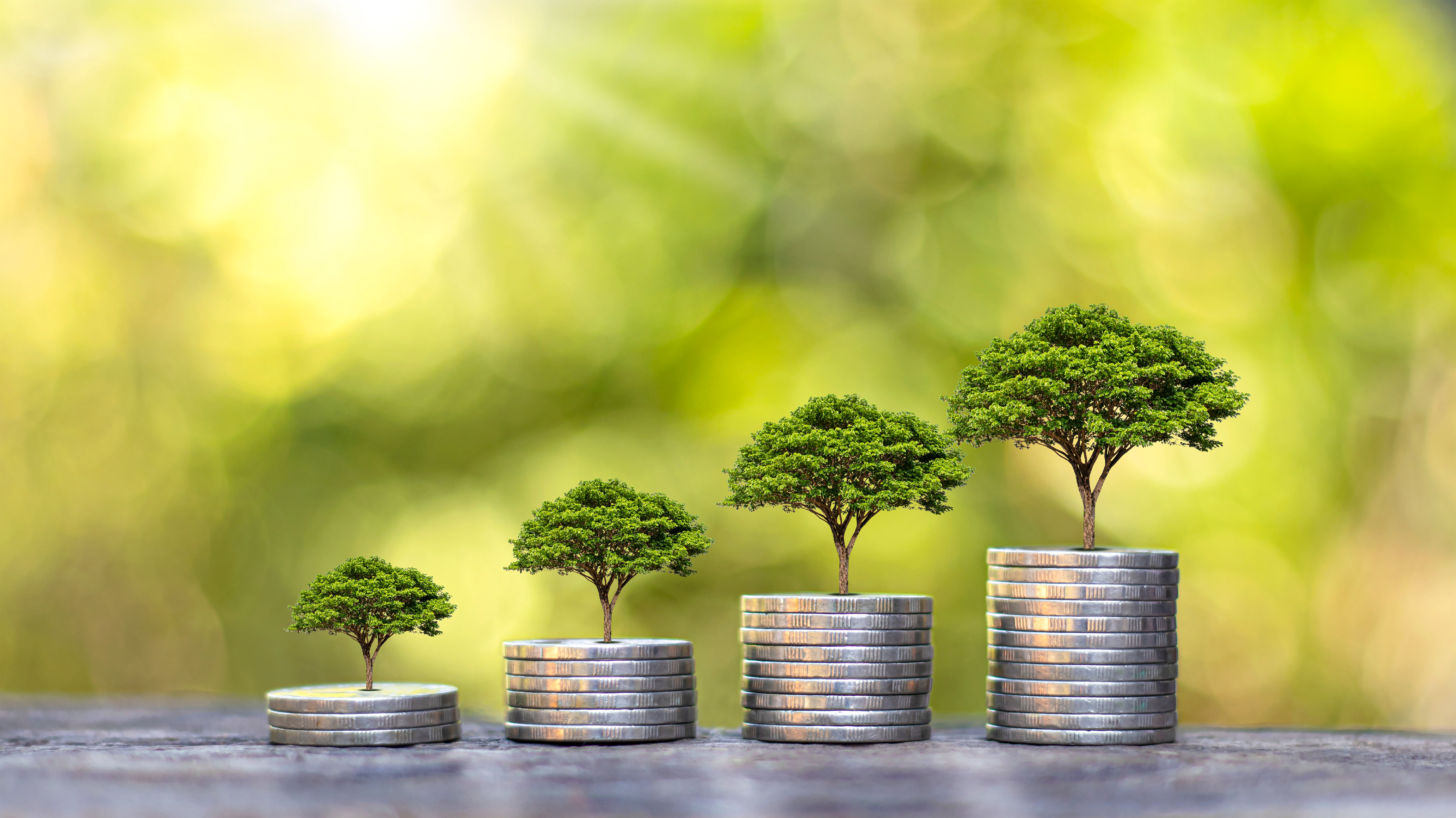 3.jpeg soldini che crescono