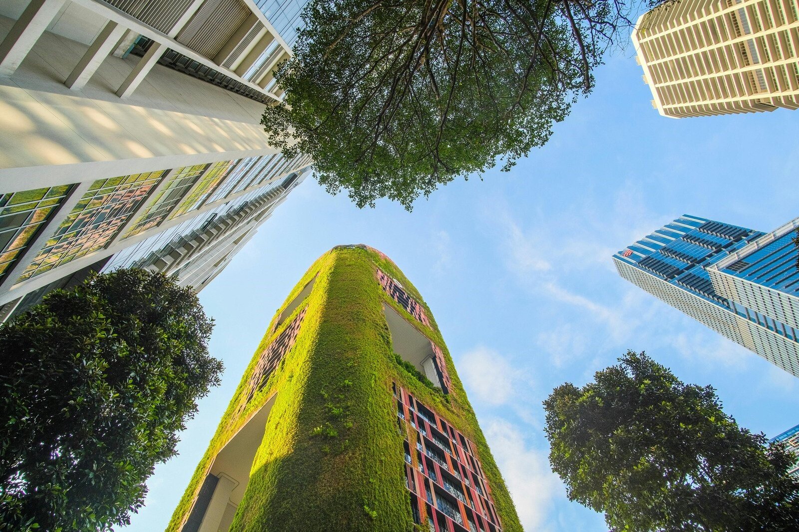 grattacieli si stagliano nel cielo limpido