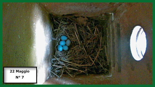 026-19-04-22-05-n°7.jpeg