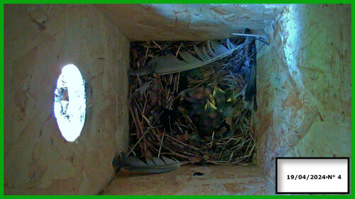 026-19-04 n° 4.jpeg