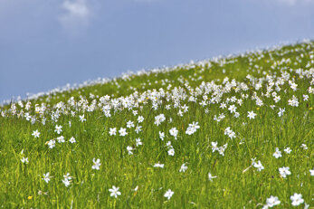 1fc59d17b98a4e0ffc3de47f66907d4e5379e0c6 1fc59d17b98a4e0ffc3de47f66907d4e5379e0c6