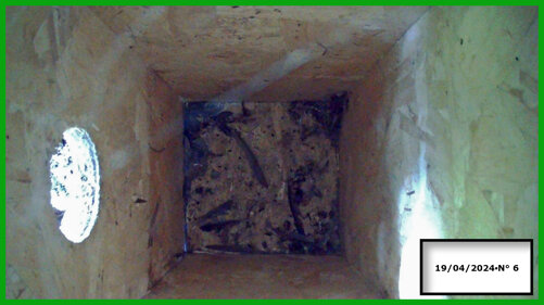 026-19-04 n° 6.jpeg