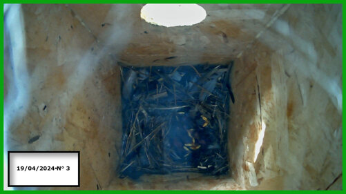 026-19-04 n° 3.jpeg