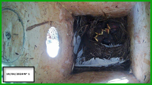 026-19-04 n° 1.jpeg