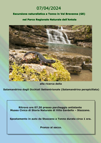 66c6f24cf1a504026bb9a39b81aa8c83808ae968