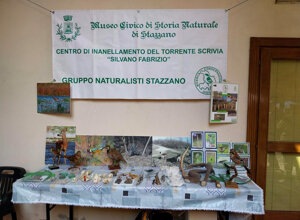 img-20260321-wa0002.jpeg