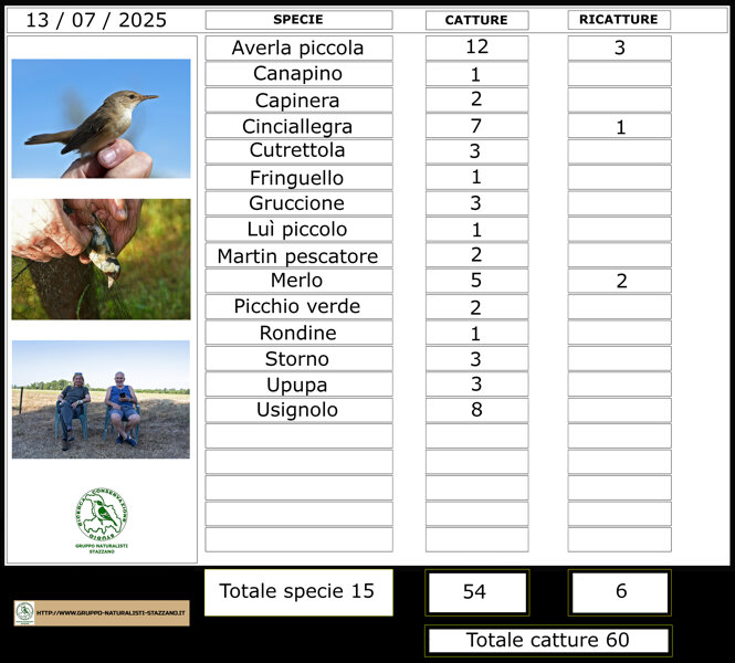 025-07-13-specchietto catture .jpeg