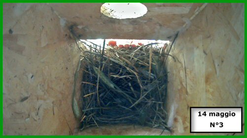 026-19-04-14-05-n°3.jpeg