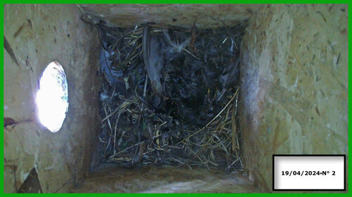 026-19-04 n° 2.jpeg