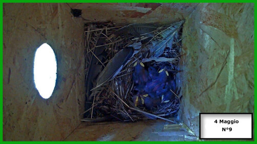 026-19-04 n°9 .jpeg