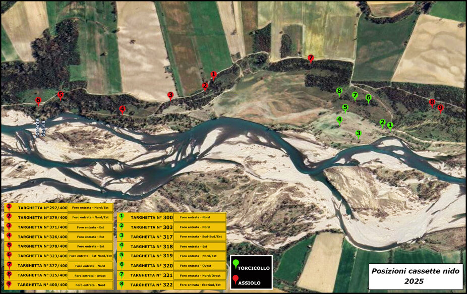 posizione cassette ultima ok 2025no euring.jpeg