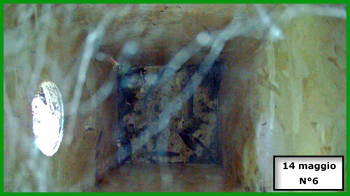 026-19-04-14-05-n°6.jpeg