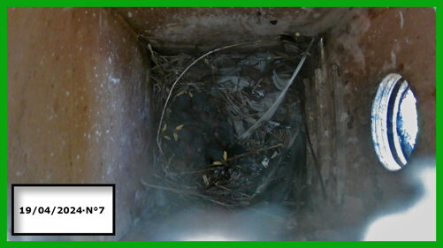 026-19-04 n° 7.jpeg