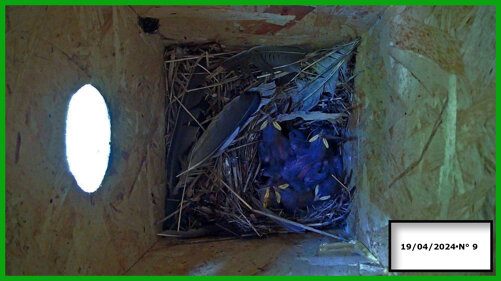 026-19-04 n°9 .jpeg