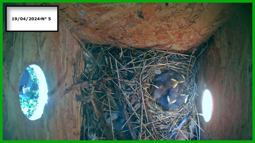 026-19-04 n° 5.jpeg