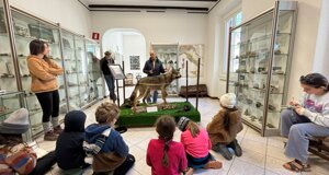 086cbdf0e32c1ceda4c79fef581629513b563bdf