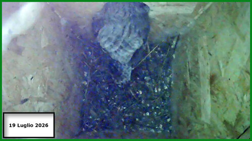 2026-07-19 21-17-02_6.jpeg